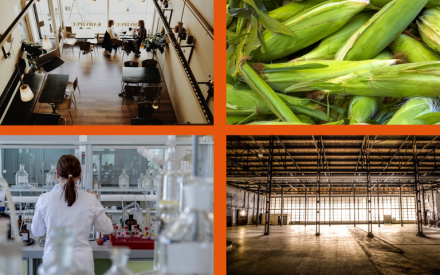WIndicators Volume 3, Number 4: Impact of COVID-19 on the Wisconsin Economy