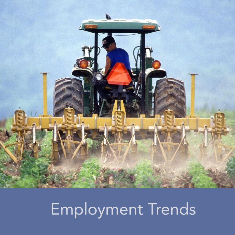 The Contributions of Agriculture to the Wisconsin Economy An Update