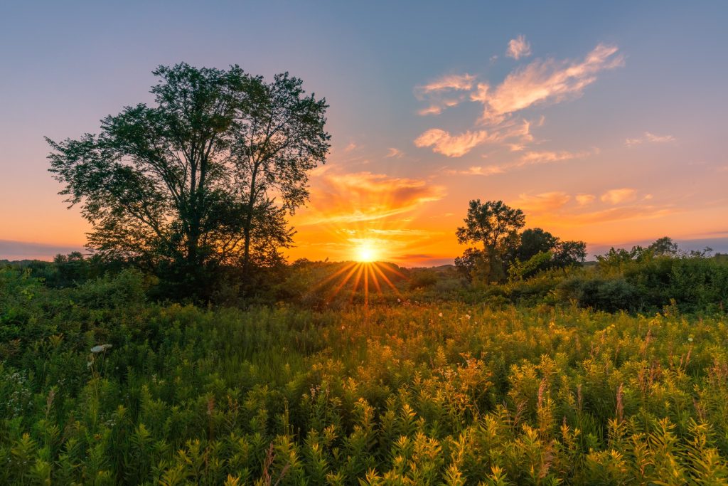 Extension’s Rural Wisconsin Entrepreneurship Initiative Offers Multiple Ways to Engage