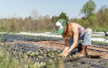 Women farmers and community well-being under modeling uncertainty