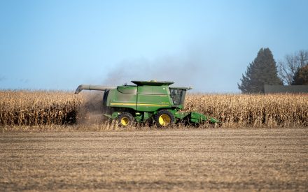 Research suggests women farmers may improve local economies