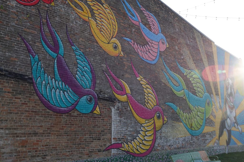 A colorful mural of birds in Green Bay Wisconsin