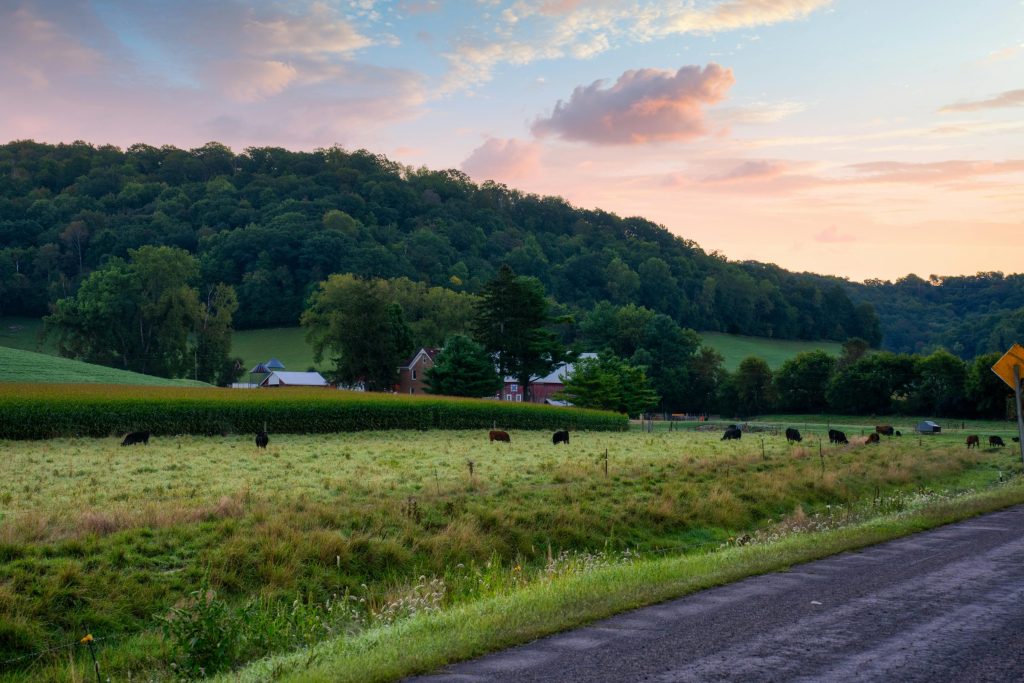 Farm in Wisconsin