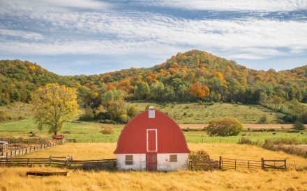Rebuilding Connection and Care for Wisconsin's Farm Families