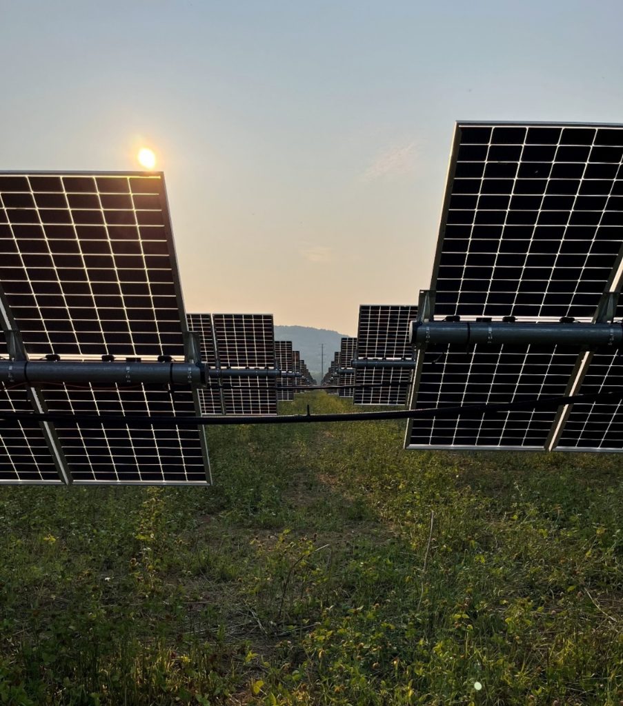 Solar panels in a field