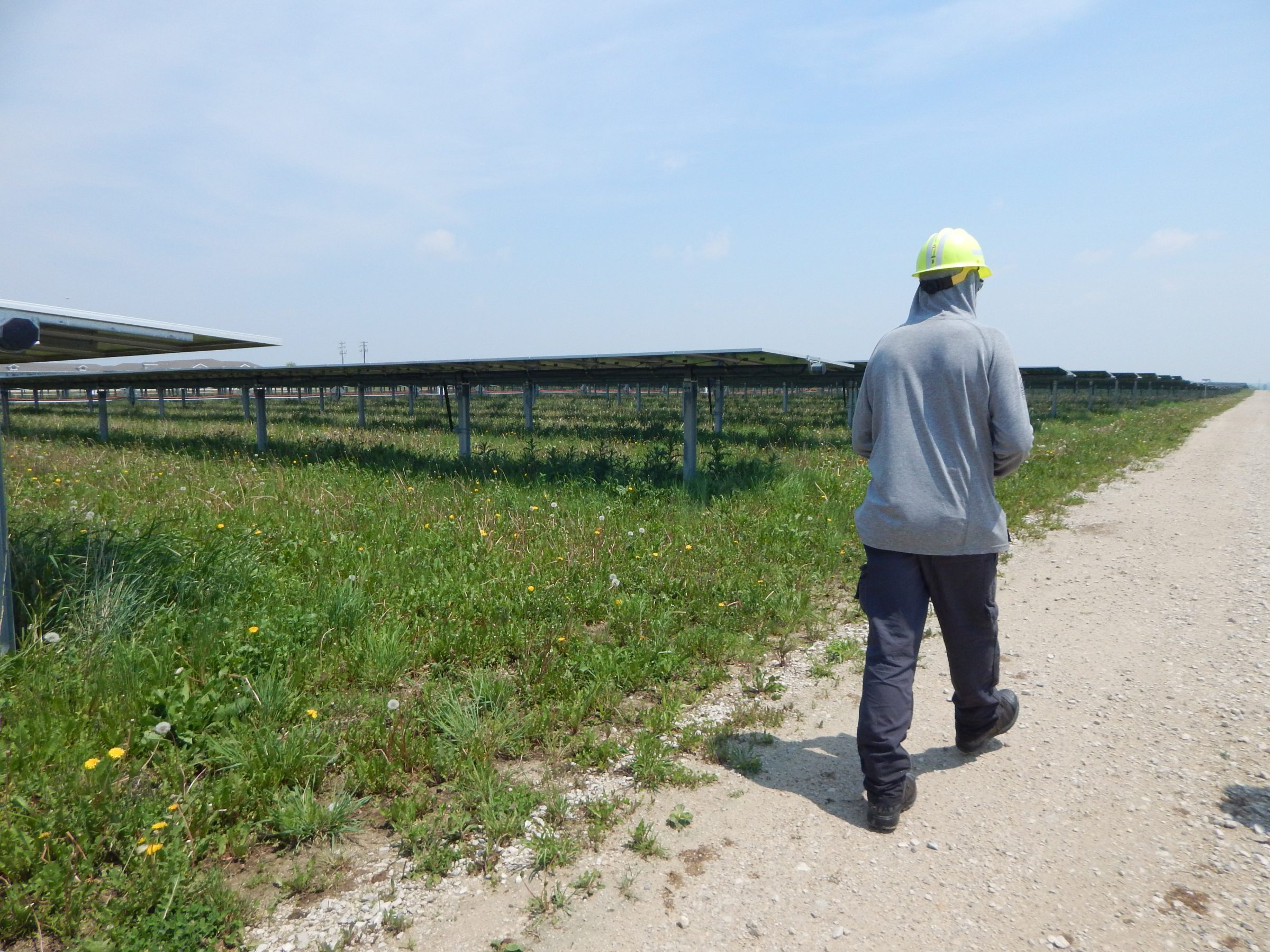 Man walking in front of solar field
