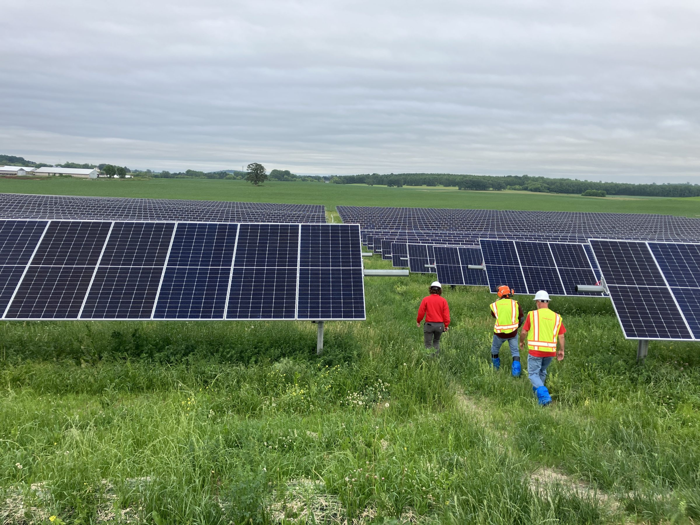 People walking in solar field