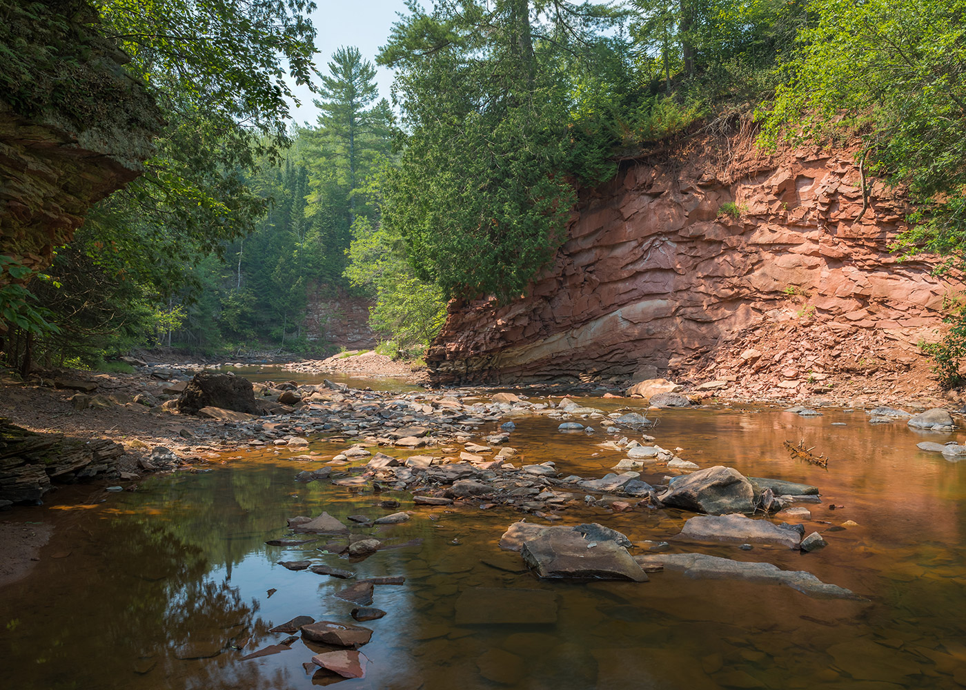 A shallow stream surrounded by trees.