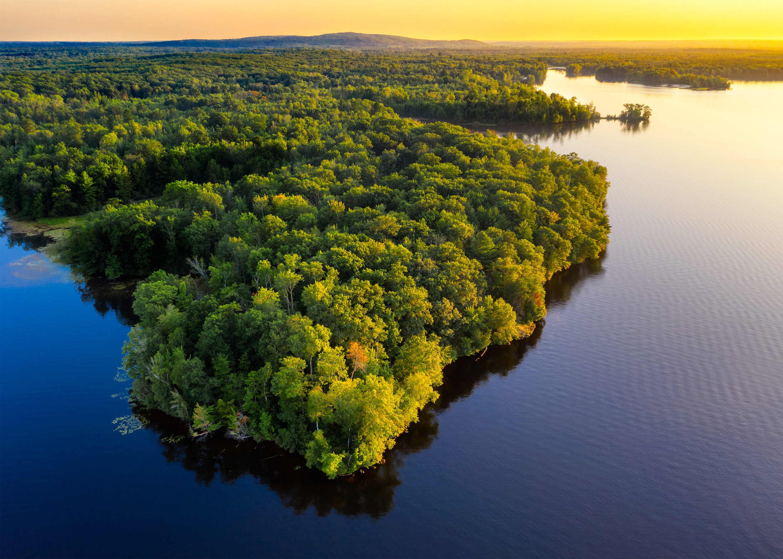 An overhead view of a trees and a body of water in Wisconsin.